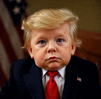 Trump GIF