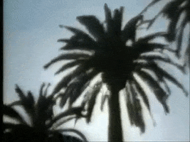Los Angeles Sun GIF by US National Archives