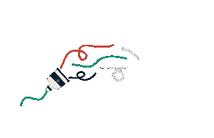 Celebrating Merry Christmas Sticker by Love Your Neighbour