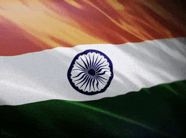 India Vijay GIF