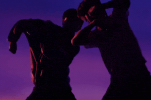 Fly GIF by IDID