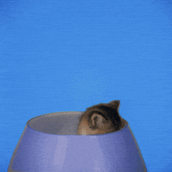 Giphy - Good Morning Hearts GIF by GIPHY Studios Originals