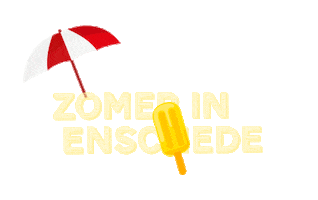 Summer Twente Sticker by Enschede