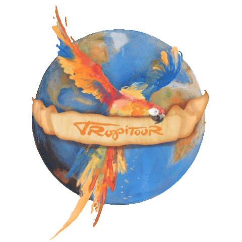 Sticker by Karol G