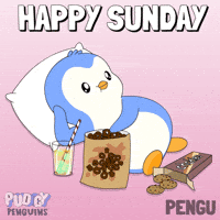 Happy Sunday Penguin GIF by Pudgy Penguins