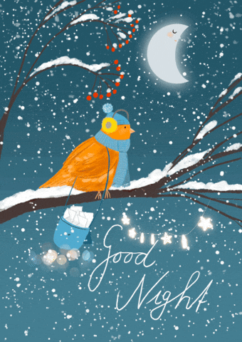 Good Night Winter GIF