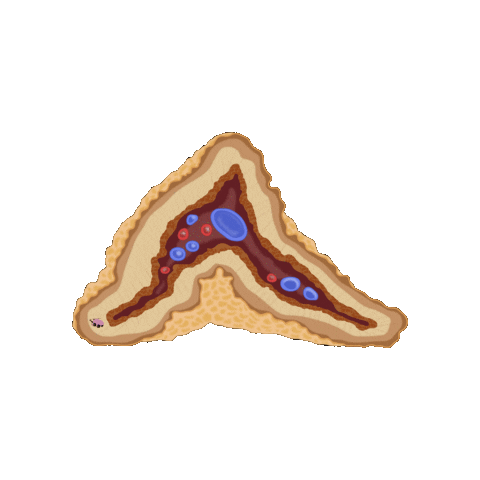 Study Sticker