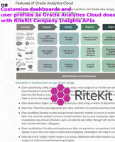 Web Development Oracle GIF by RiteKit