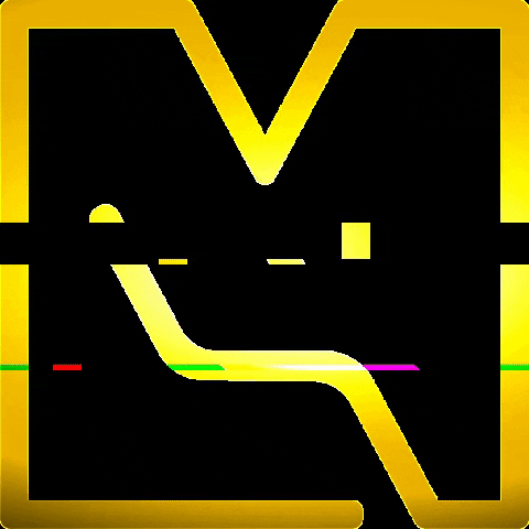 vincenzomastrolonardo GIF