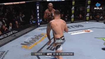 Angry Ultimate Fighting Championship GIF by MolaTV