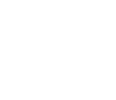 Shine Sorpresa Sticker