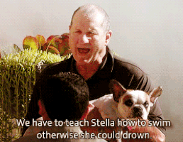 Ed O Neill GIFs - Find & Share on GIPHY