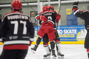 Fire It Up Ice Hockey GIF by Cardiff Fire