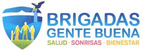 Tmc Brigadas GIF by CDE PAN AGS