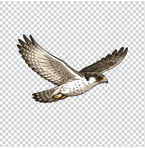 Falcon Nurderhgc GIF by HamburgerGC