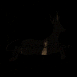 Adventure Hunting GIF by Cinegetics