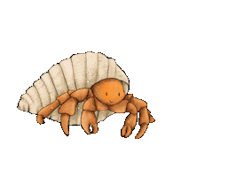 Einsiedlerkrebs Einervonuns Sticker by AngelinaBorgwardt