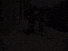 Iraq Grave GIF
