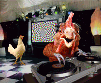 giphy.gif