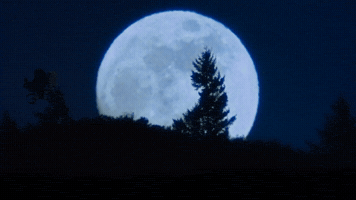 Extra Terrestrial Et GIF