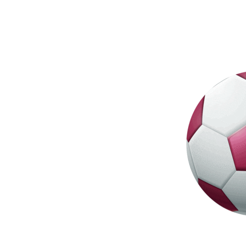 Qatar 2022 Football Sticker by AYAKAN