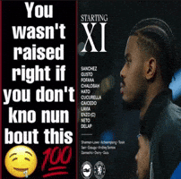 Premier League Football GIF