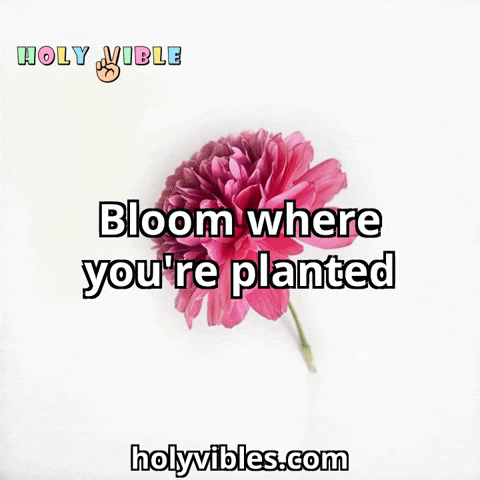 Flower Growth GIF by Holy Vibles