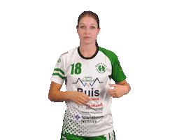 Quintus Handbal Sticker