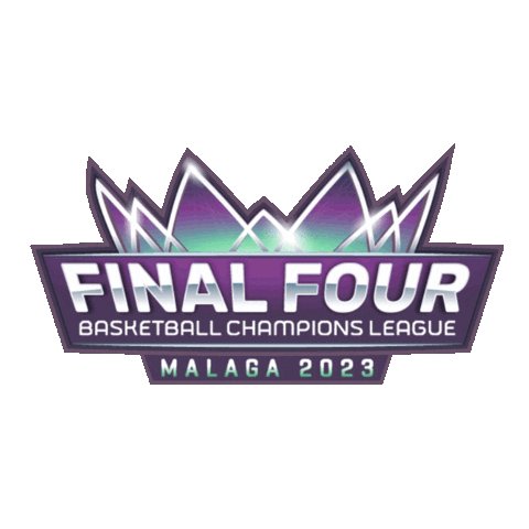 Sport Logo Sticker by Basketball Champions League