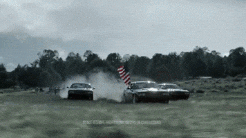 fern  GIF