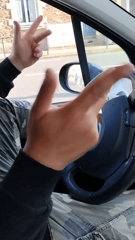 Wtf GIF