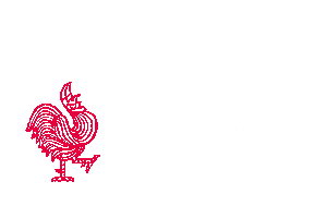 Carnaval Vastelaovend Sticker by Jocus