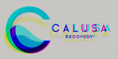 CalusaRecovery recovery sober crs calusa GIF