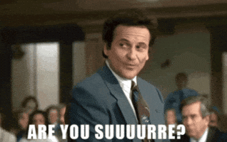 Are You Sure Joe Pesci GIF by Chris Cimino