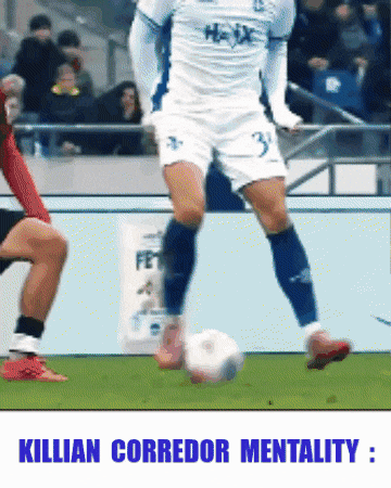 Sv Darmstadt 98 GIF
