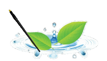 Borora Beauty Sticker by Borora