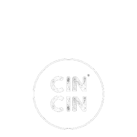 CIN CIN Sticker