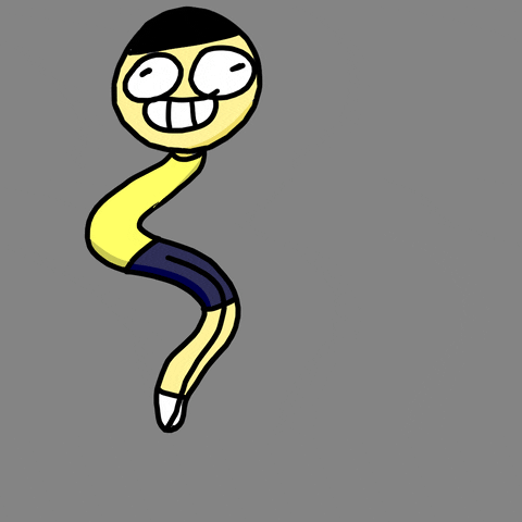 Im1Diot GIF