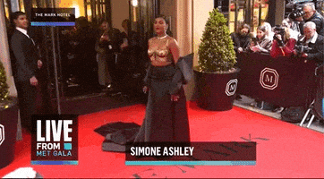 Met Gala GIF by E!