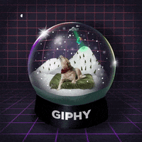 Happy Holidays Snow Globe GIF by GIPHY Studios Originals