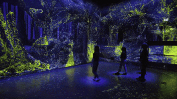 Denver Meow Wolf GIF by Moment Factory
