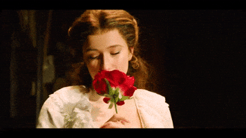 Phantom Of The Opera Theater GIF by Musical Vienna