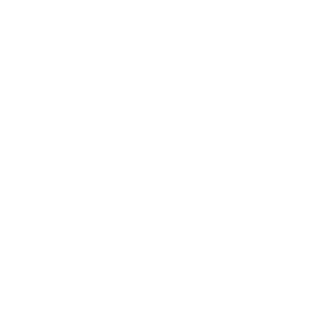 SPINS Sticker