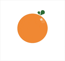 Orange Juice Art GIF by Sam Omo
