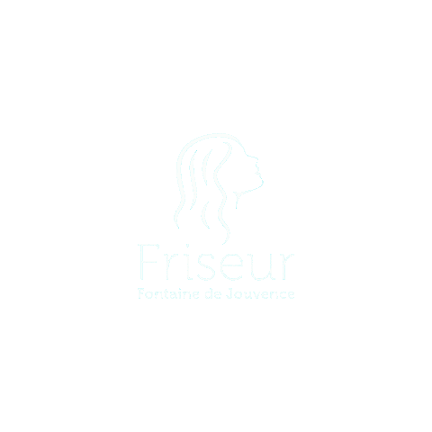 Vienna Hairdresser Sticker by Friseur Fontaine de Jouvence