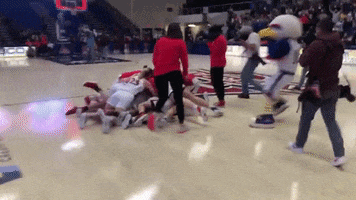 GIF by American University