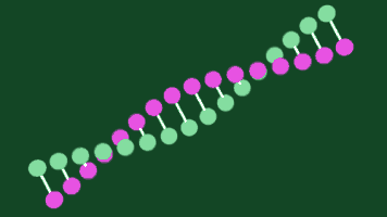 Loop Dna GIF