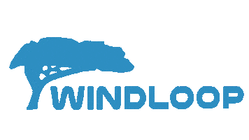 Kite Kitesurf Sticker by Windloop
