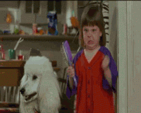 Losing Temper GIFs - Find & Share on GIPHY