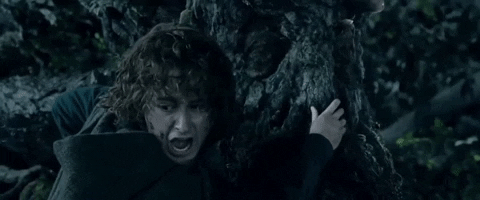Lotr GIF